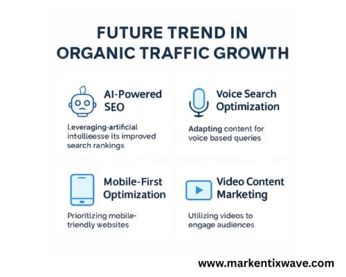 future trend in organic traffic growth